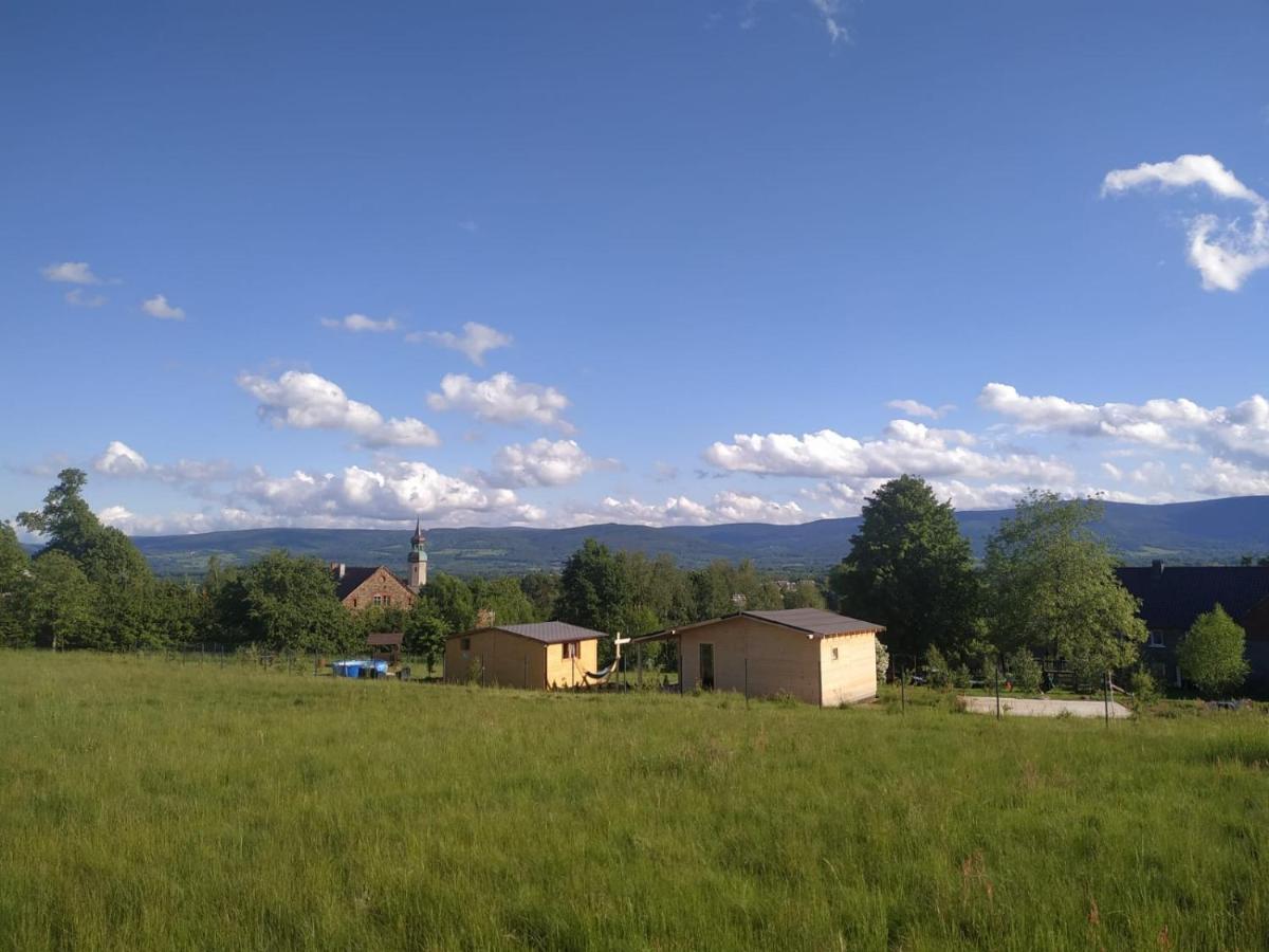Domek W Gorach Izerskich 4 I 6 Osobowy, Agroturystyka, Zywe Zwierzeta, W Pelni Wyposazone, Plac Zabaw Dla Dzieci, Ognisko Z Kijkami I Rusztem, Ogrzewanie I Klimatyzacja, Latem Basen Mirsk 외부 사진