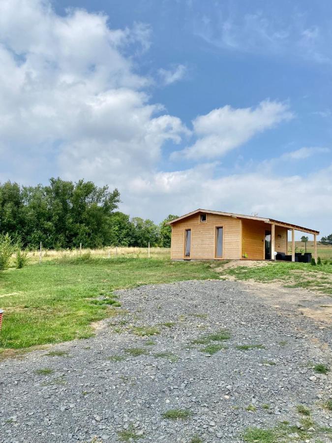 Domek W Gorach Izerskich 4 I 6 Osobowy, Agroturystyka, Zywe Zwierzeta, W Pelni Wyposazone, Plac Zabaw Dla Dzieci, Ognisko Z Kijkami I Rusztem, Ogrzewanie I Klimatyzacja, Latem Basen Mirsk 외부 사진