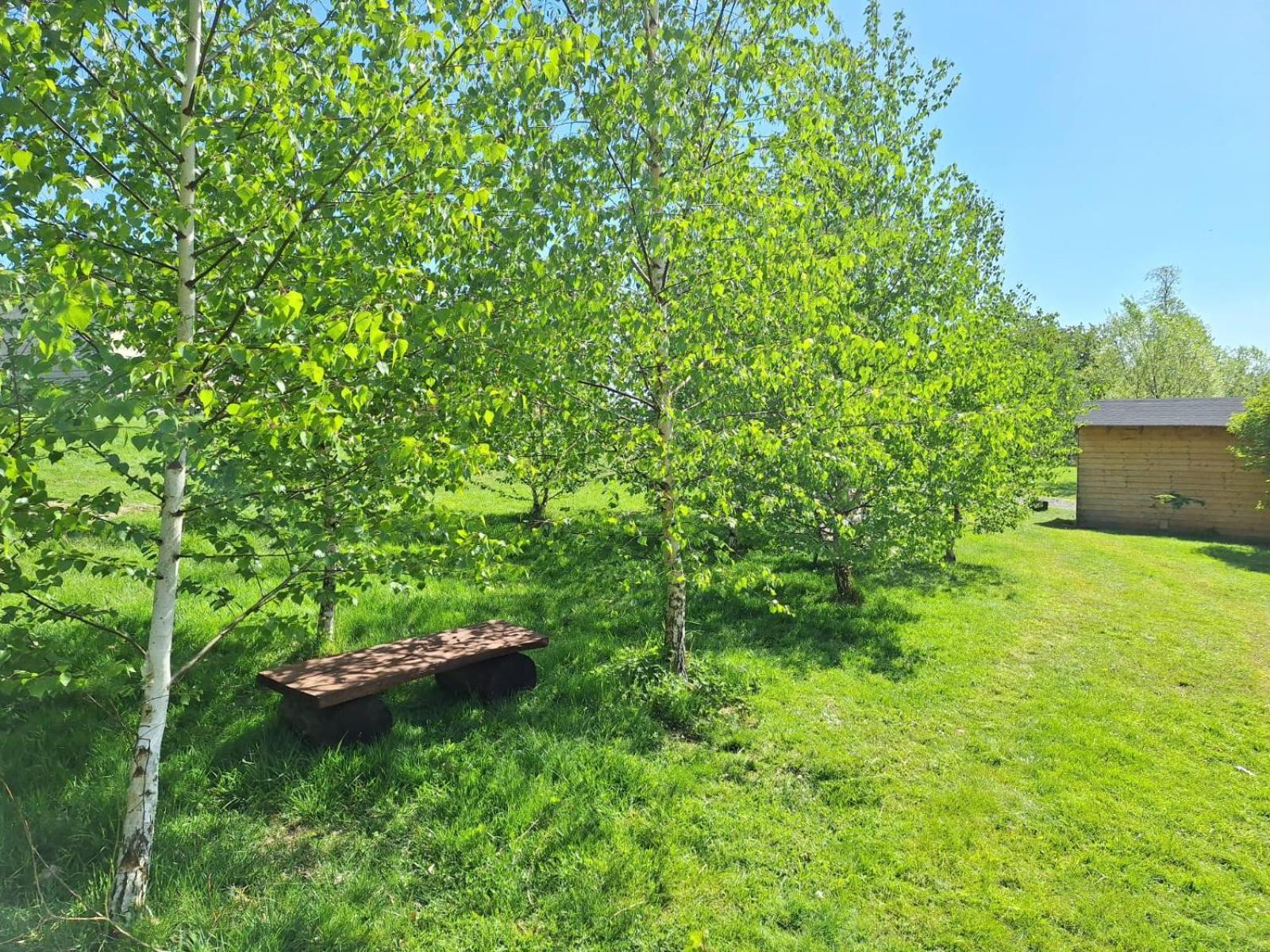 Domek W Gorach Izerskich 4 I 6 Osobowy, Agroturystyka, Zywe Zwierzeta, W Pelni Wyposazone, Plac Zabaw Dla Dzieci, Ognisko Z Kijkami I Rusztem, Ogrzewanie I Klimatyzacja, Latem Basen Mirsk 외부 사진